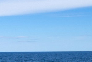 Blue ocean leadership